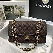 Chanel Classic Double Flap Bag 25cm - 1