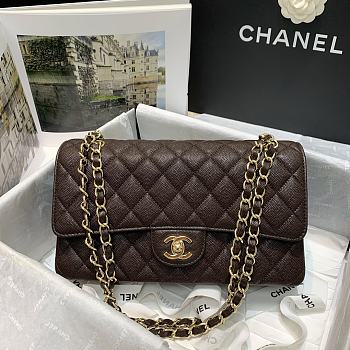 Chanel Classic Double Flap Bag 25cm