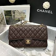 Chanel Classic Double Flap Bag 25cm - 2