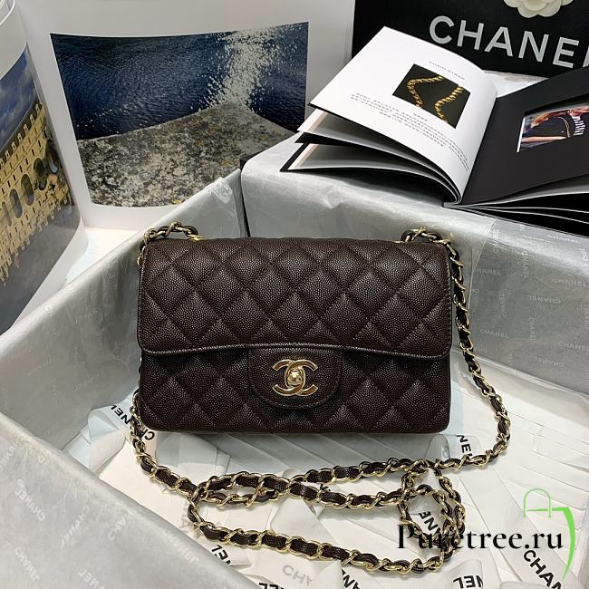 Chanel Classic Double Flap Bag 19cm - 1