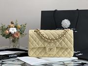 Chanel Classic Double Flap Bag Cream 25cm - 1