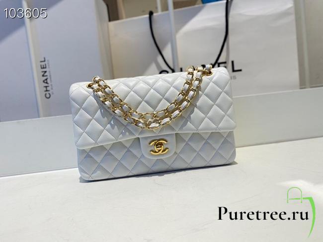 Chanel Classic Double Flap Bag Lambskin Golden White | A01112 - 1