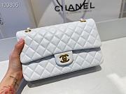Chanel Classic Double Flap Bag Lambskin Golden White | A01112 - 2