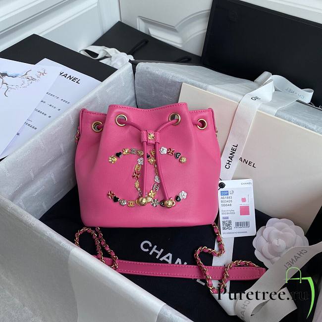 Chanel Cham Chain Pink Bucket Bag 2020 - 1