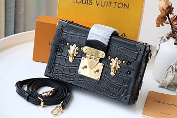 Louis Vuitton Petite Malle Box Trunk Bag black | M40273