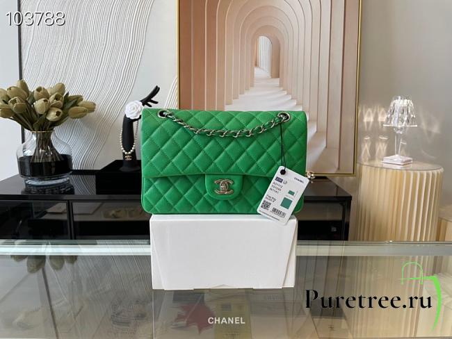 Chanel Classic Handbag Grained Calfskin & Gold-Tone Metal Green | A58600 - 1