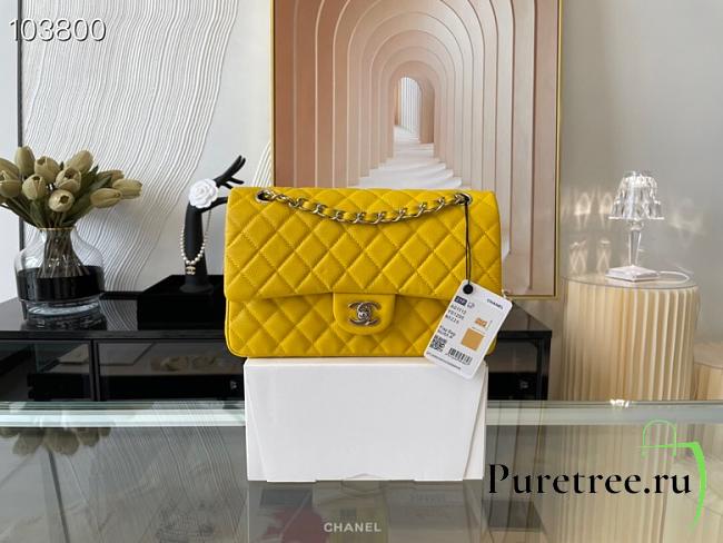 Chanel Classic Handbag Grained Calfskin & Metal-Tone Yellow | A58600 - 1