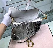 Dior Saddle Bag Silver Snake Skin Size 25.5x20x6.5 cm - 2
