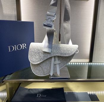 Dior Saddle embroidered White 20 cm | 093