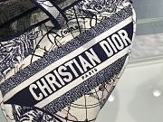 Dior Saddle Oblique Around The World 2 25cm - 2