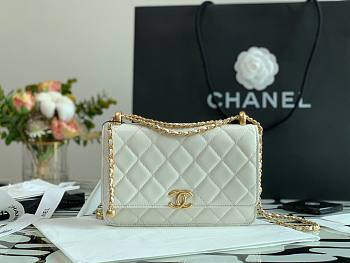 Chanel Calfskin Wallet Chain Strap WOC 2021 White | AP2289