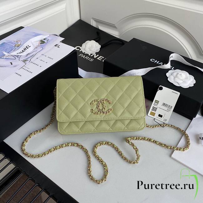 Chanel Calfskin Wallet on Chain Green 2020 | AP1794 - 1