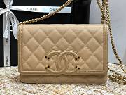 Chanel Metallic Grined Beige Calfskin CC Wallet WOC Bag | A84451 - 4