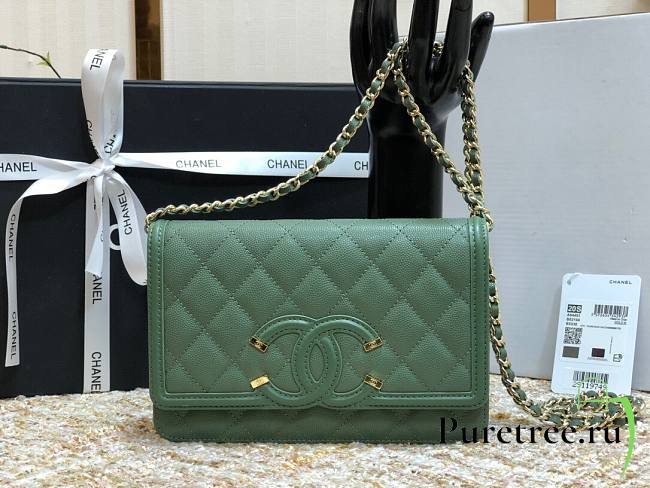 Chanel Metallic Grined Green Calfskin CC Wallet WOC Bag | A84451 - 1