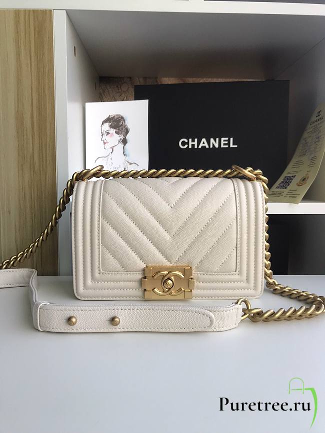 Chanel Iridescent Chevron Grained Leather Boy Flap White Bag / Gold Hardware 20cm - 1