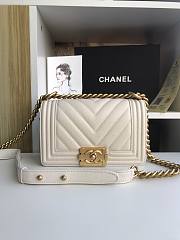 Chanel Iridescent Chevron Grained Leather Boy Flap White Bag / Gold Hardware 20cm - 1