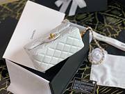 Chanel Lambskin & Gold-Tone Metal Mini Flap Bag White | AS1786 - 5