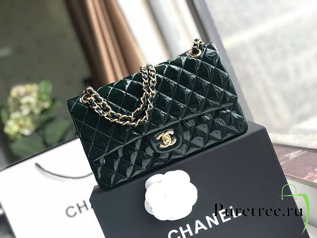 Chanel Quilted Patent Leather Double Flap Bag Green / Gold 25 cm - 1
