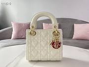 Dior Amour Lady My ABCDior White size 20cm - 5