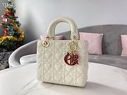 Dior Amour Lady My ABCDior White size 20cm - 6
