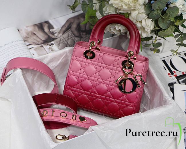 DIOR My ABCDIOR Lady Pink Cannage Lambskin Bag | M0538 - 1