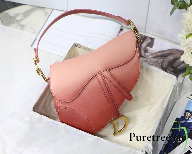 Dior Saddle Indigo Pink Gradient Calfskin 25cm Bag | M0446 - 1
