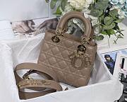 DIOR My ABCDIOR Lady Light Brown Lambskin Bag | M0538 - 1