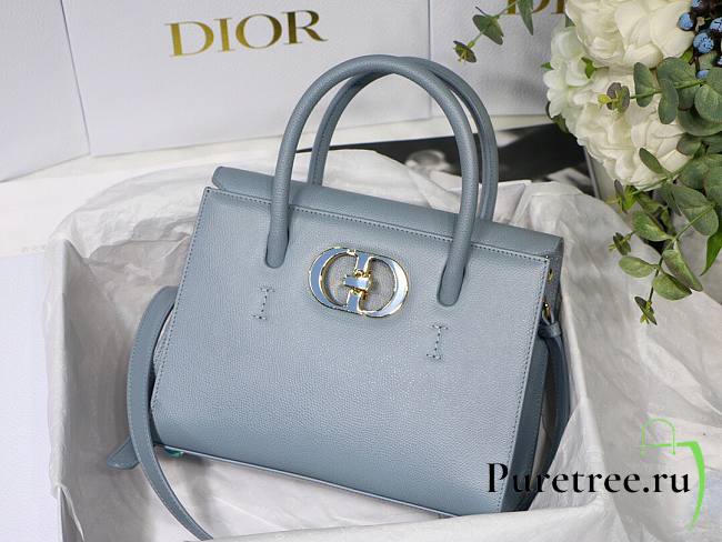 Dior Medium St Honoré Tote Warm Taupe Grained Calfskin in Blue | M9321 - 1