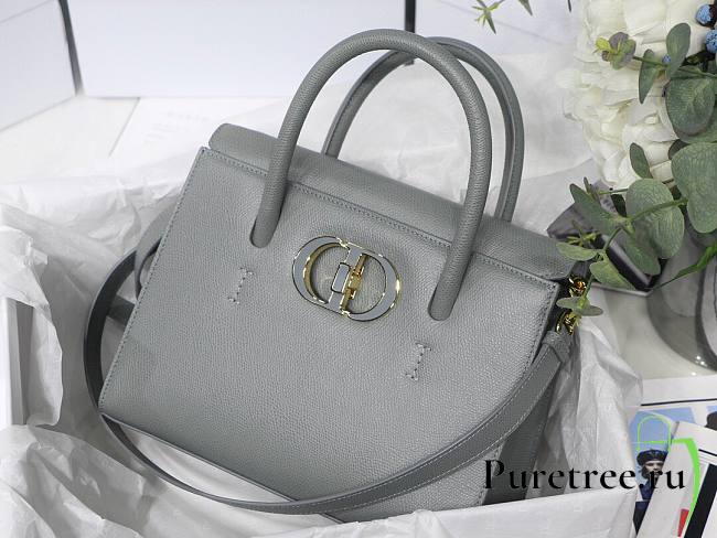 Dior Medium St Honoré Tote Warm Taupe Grained Calfskin in Gray | M9321 - 1
