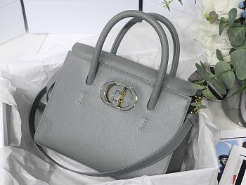 Dior Medium St Honoré Tote Warm Taupe Grained Calfskin in Gray | M9321