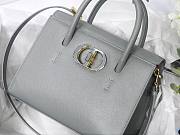 Dior Medium St Honoré Tote Warm Taupe Grained Calfskin in Gray | M9321 - 6
