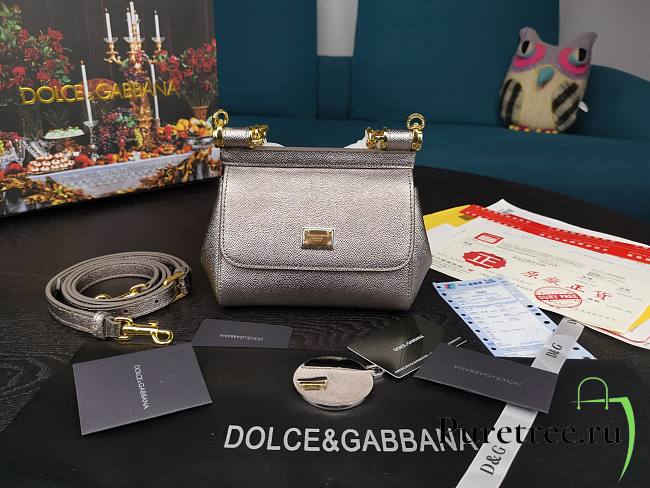 DG dauphine leather Sicily mini bag in silver - 1