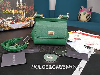 DG dauphine leather Sicily mini bag in green