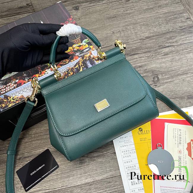 D&G dauphine leather Sicily small bag in green - 1