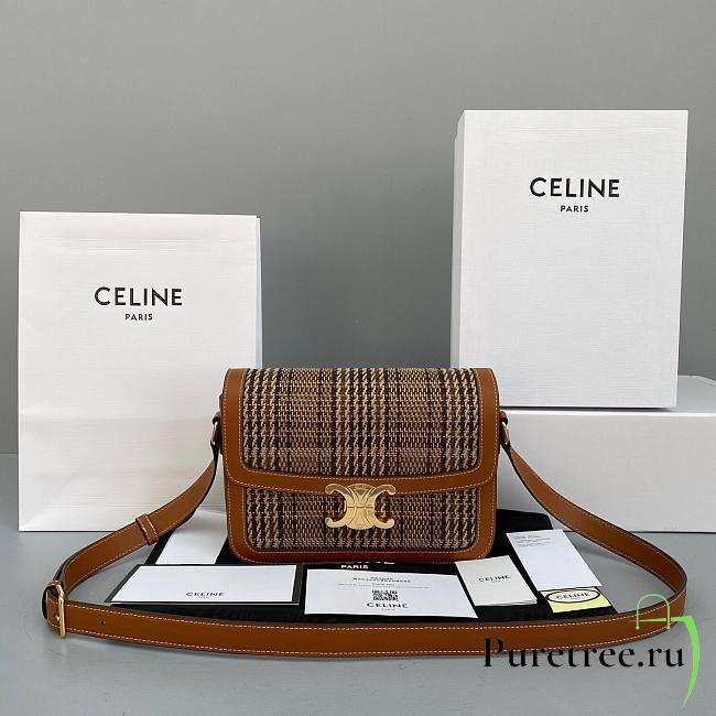 Celine Embroidery Calfskin Triiomphe Brown Bag - 1