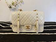 Chanel FlapBag White Leather AS2696 - 1