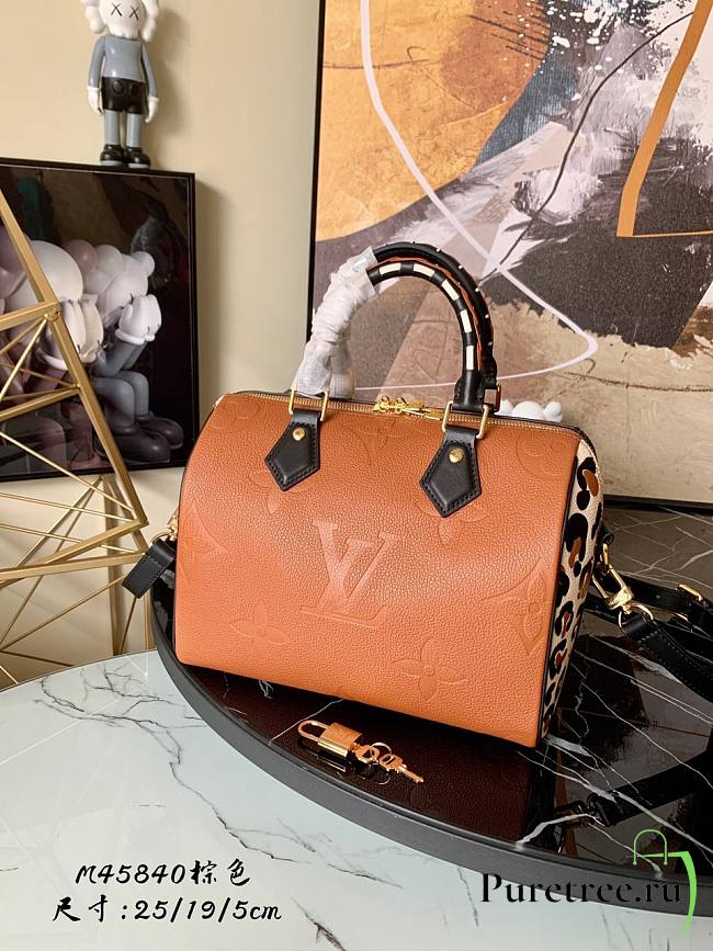 Louis Vuitton Speedy Bandoulière 25 Brown Leather m58524 - 1