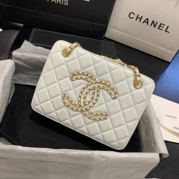 Chanel Calfskin Chain CC Accordion Shoulder Bag AS1751