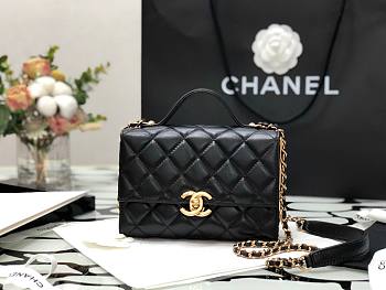 Chanel Lambskin & Gold Metal Mini Flap Bag