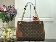 Louis Vuitton Surene MM Brown handbag | M43772  - 1