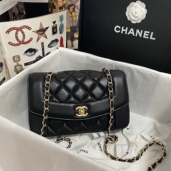 CHANEL Small Quilted Diana Flap Bag - AS1488 - 22cm x 14cm x 7cm