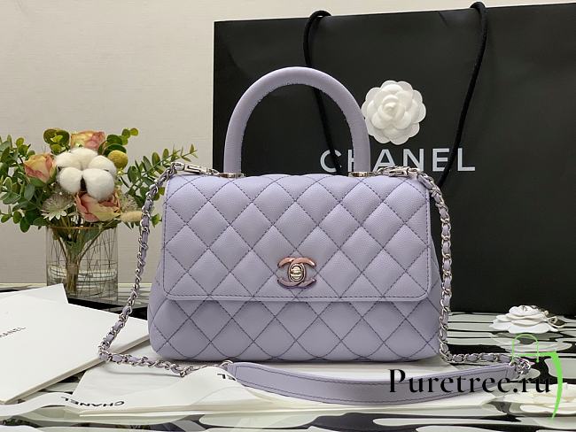 Chanel | COCO HANDLE Iridescent Purple Grain Bag Silver Hardware - 23 cm - 1