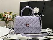 Chanel | COCO HANDLE Iridescent Purple Grain Bag Silver Hardware - 23 cm - 1
