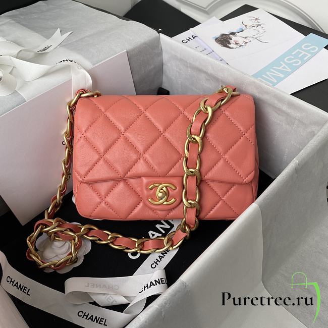 Chanel | Apricot Flap Bag rough golden chain - 22×5×15.5cm - 1