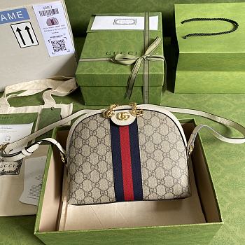 GUCCI | Ophidia Small Shoulder Bag - ‎499621