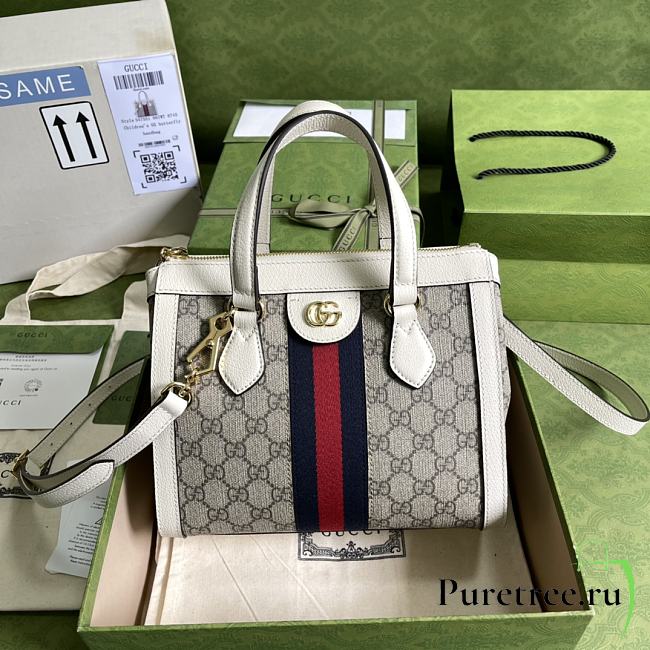 GUCCI | Ophidia Small Tote Bag - 547551 - 1