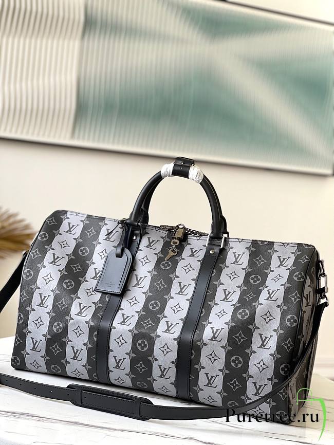 Louis Vuitton | KEEPALL Grey - M40567 - 50 x 29 x 22 cm - 1