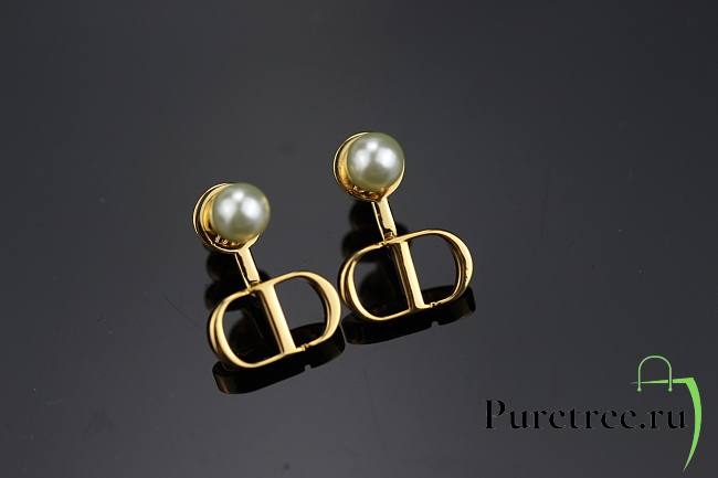 Dior | Earrings 03 - 1