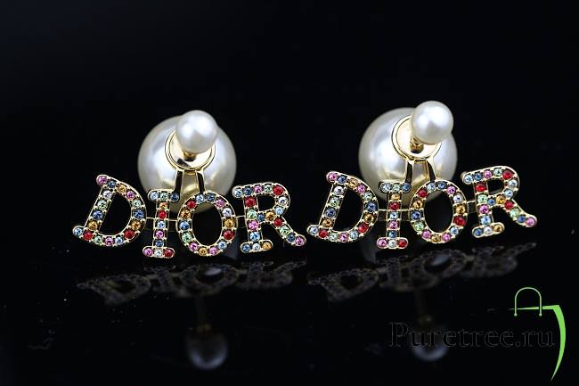 DIOR | Earrings 04 - 1