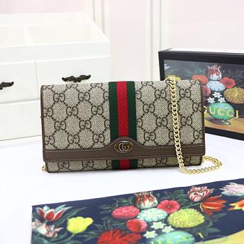 GUCCI | Ophidia GG chain wallet - 546592